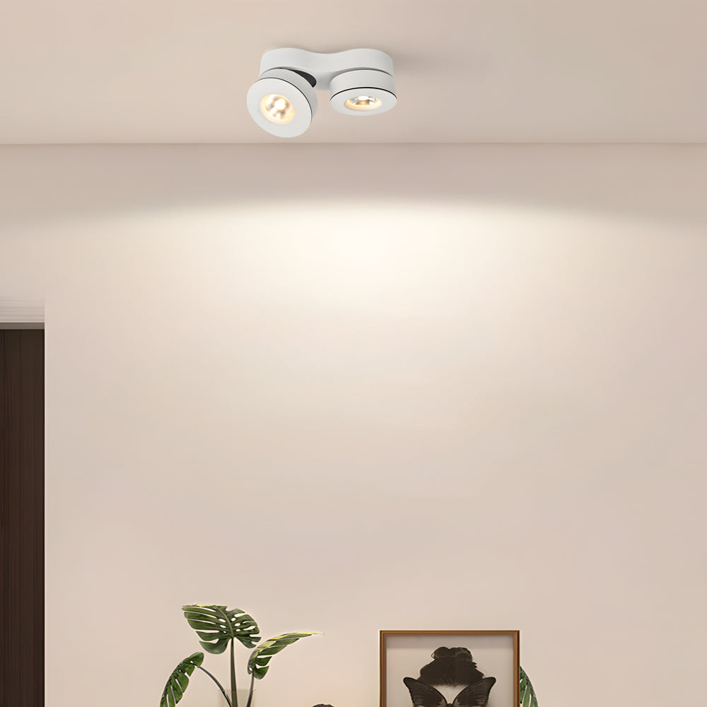 Sleek black surface mount LED downlight with adjustable heads, designed for targeted lighting and contemporary style.