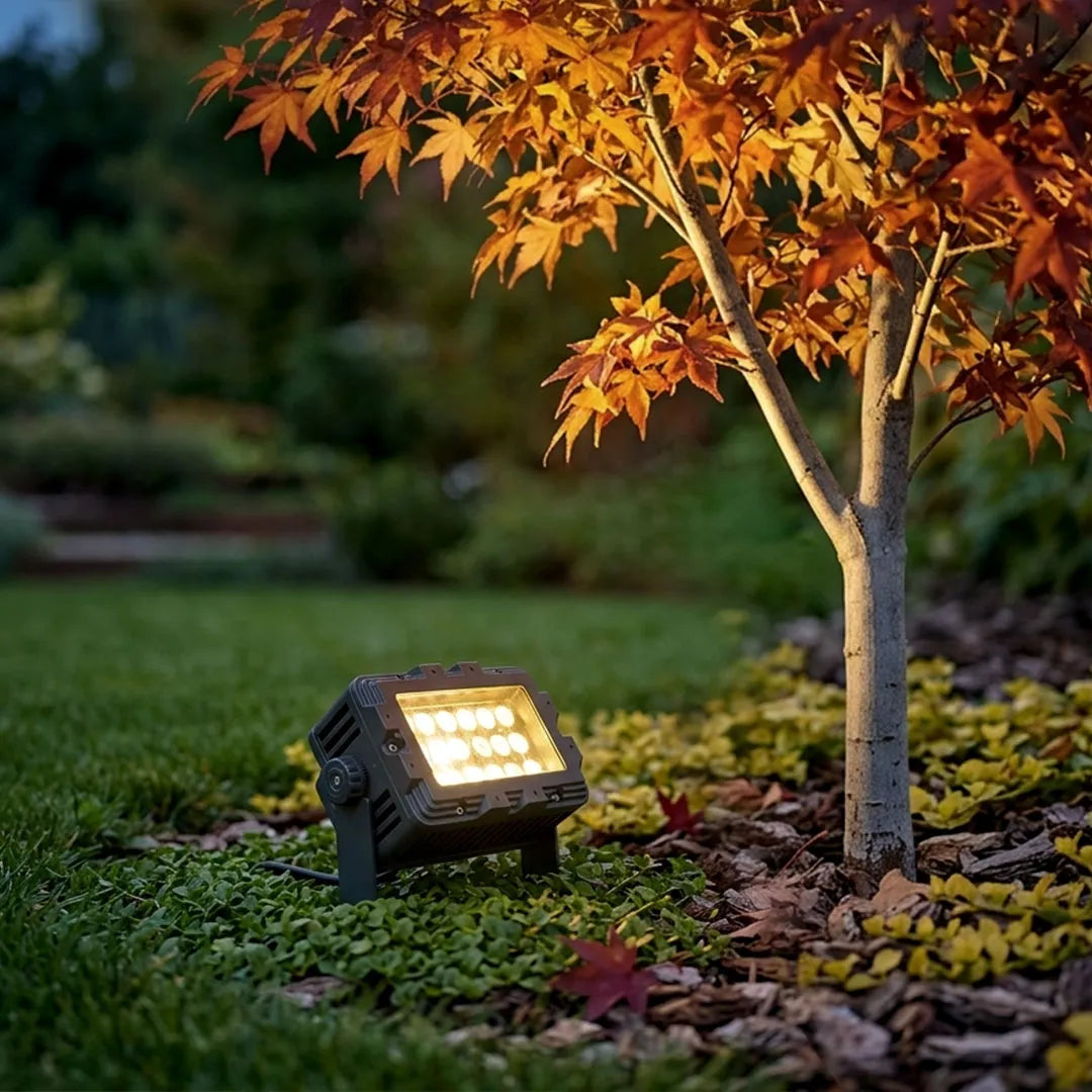 Adjustable tree spotlight lighting a small maple tree in a landscaped garden bed.