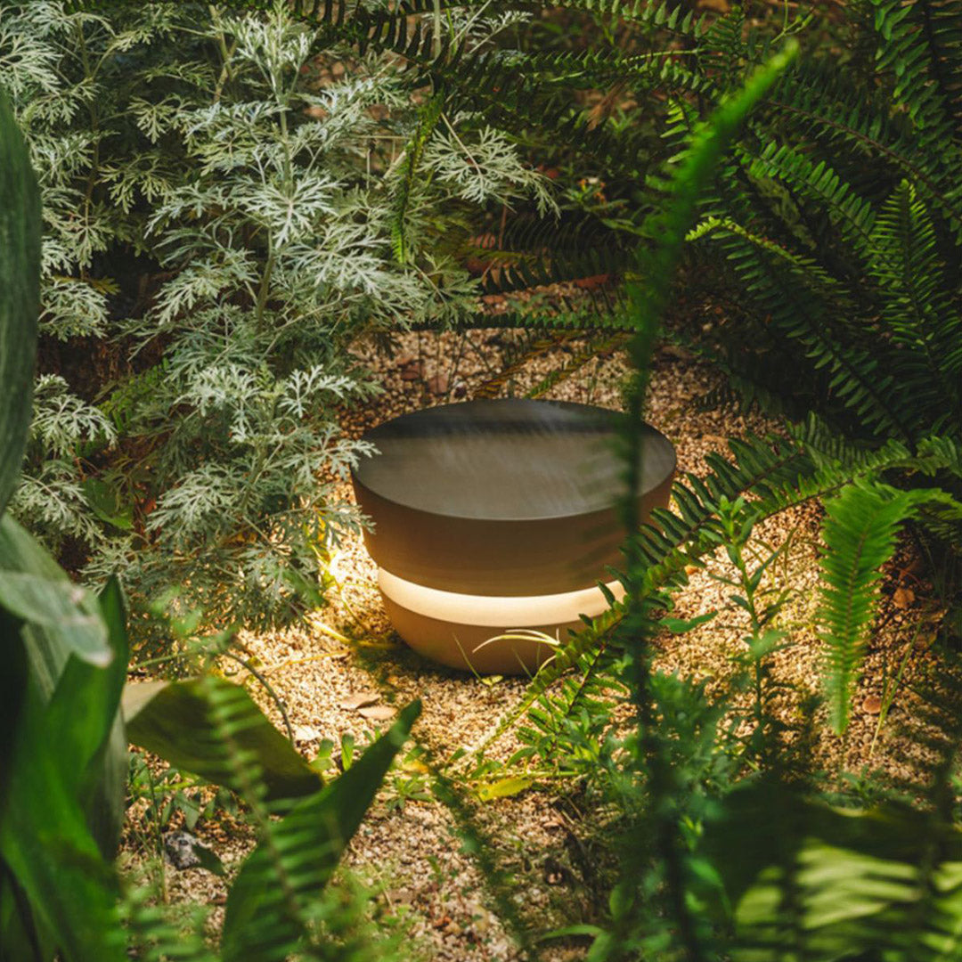 Ambient black pathway lights nestled in dense green foliage, providing subtle ground-level illumination for a garden setting.