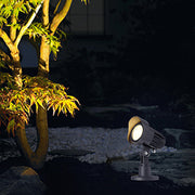 Dramatic uplighting of bamboo and tropical plants creating ambient outdoor atmosphere