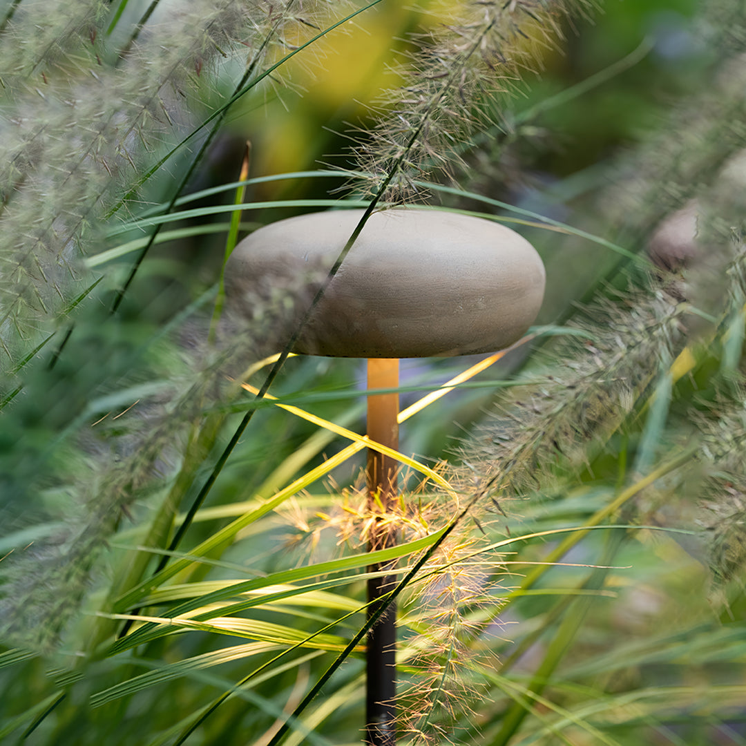 Soft beige mushroom pathway light nestled in greenery with sunlight highlighting the textured cap.