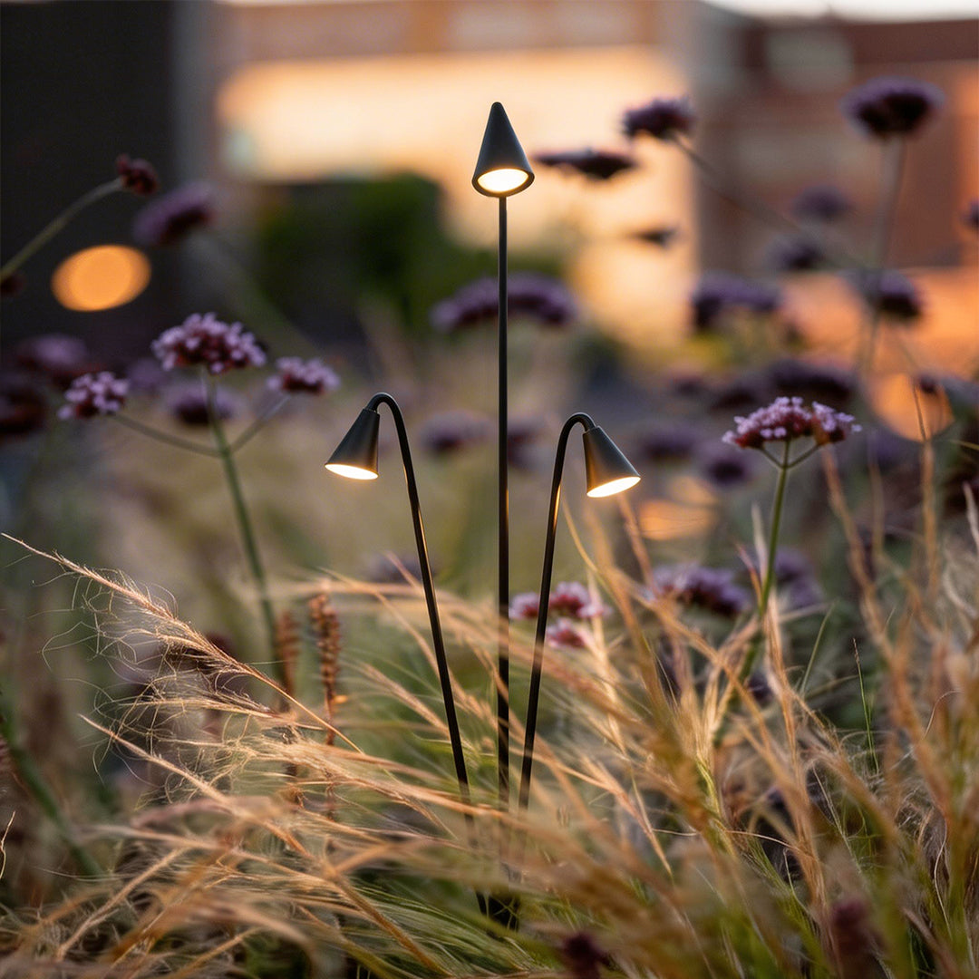 Bellflower lights with a close-up of their elegant bell-shaped heads in a garden.