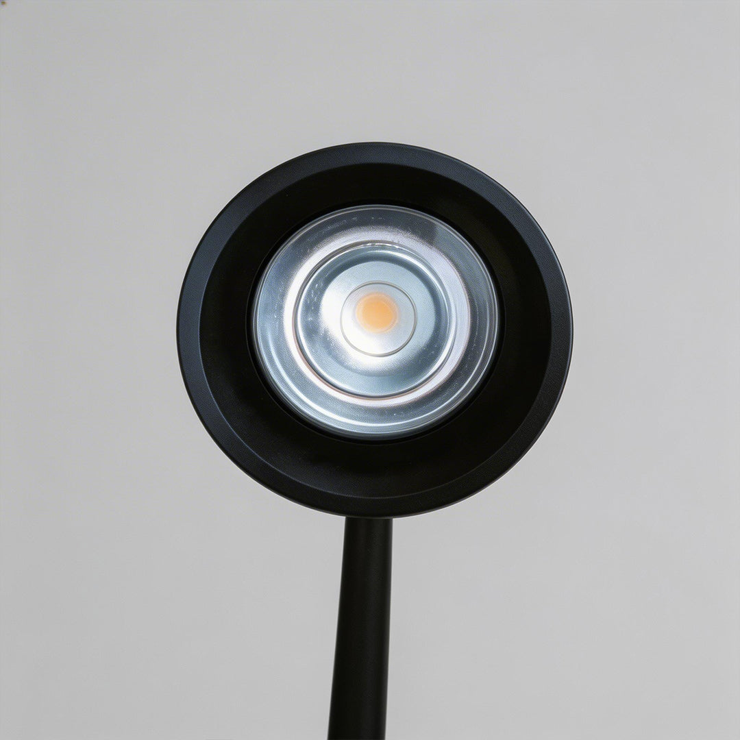 Bellflower lights with a modern design, enhancing an outdoor garden area.