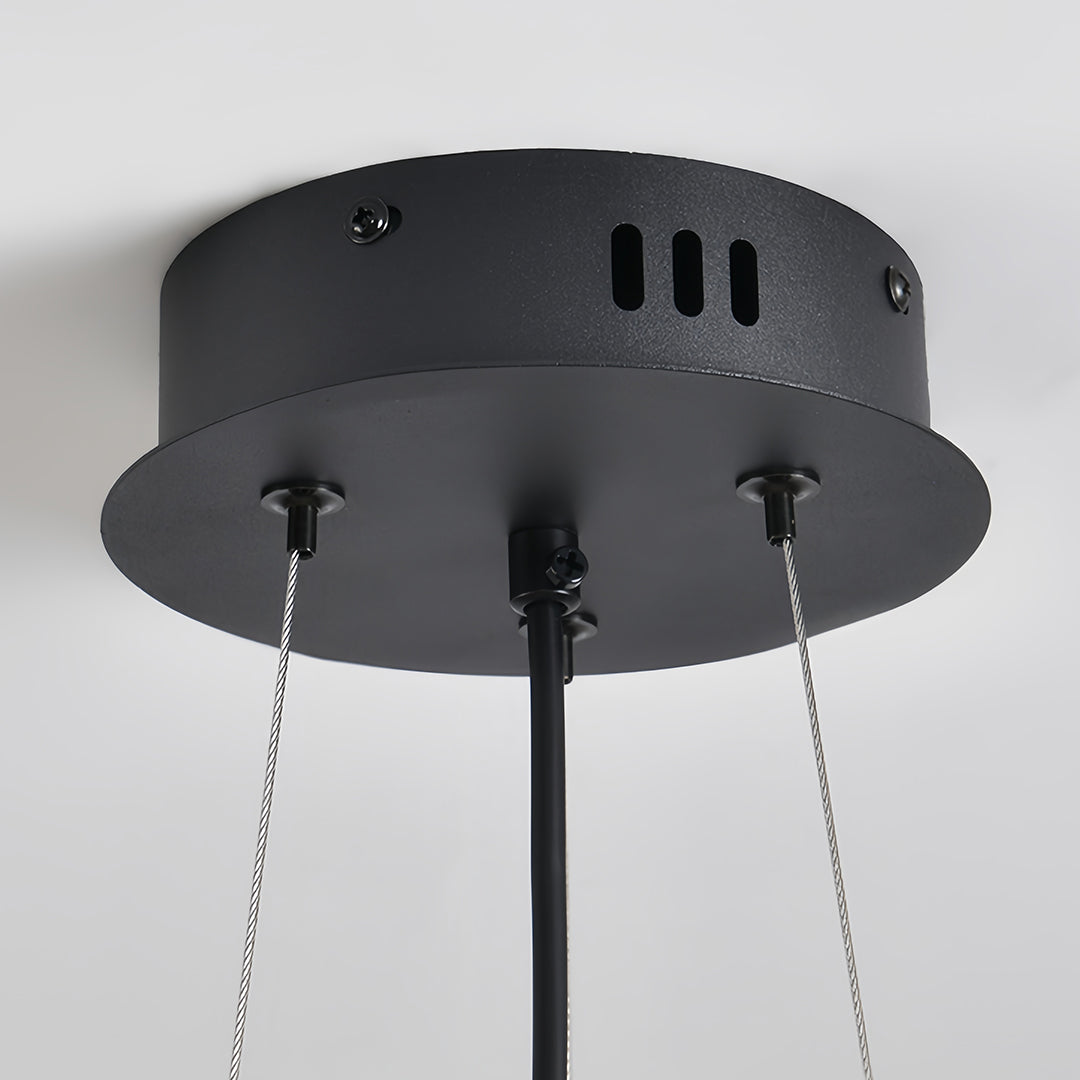 Black ceiling canopy and suspension cables, essential hardware for mounting the industrial pendant light fixture. 