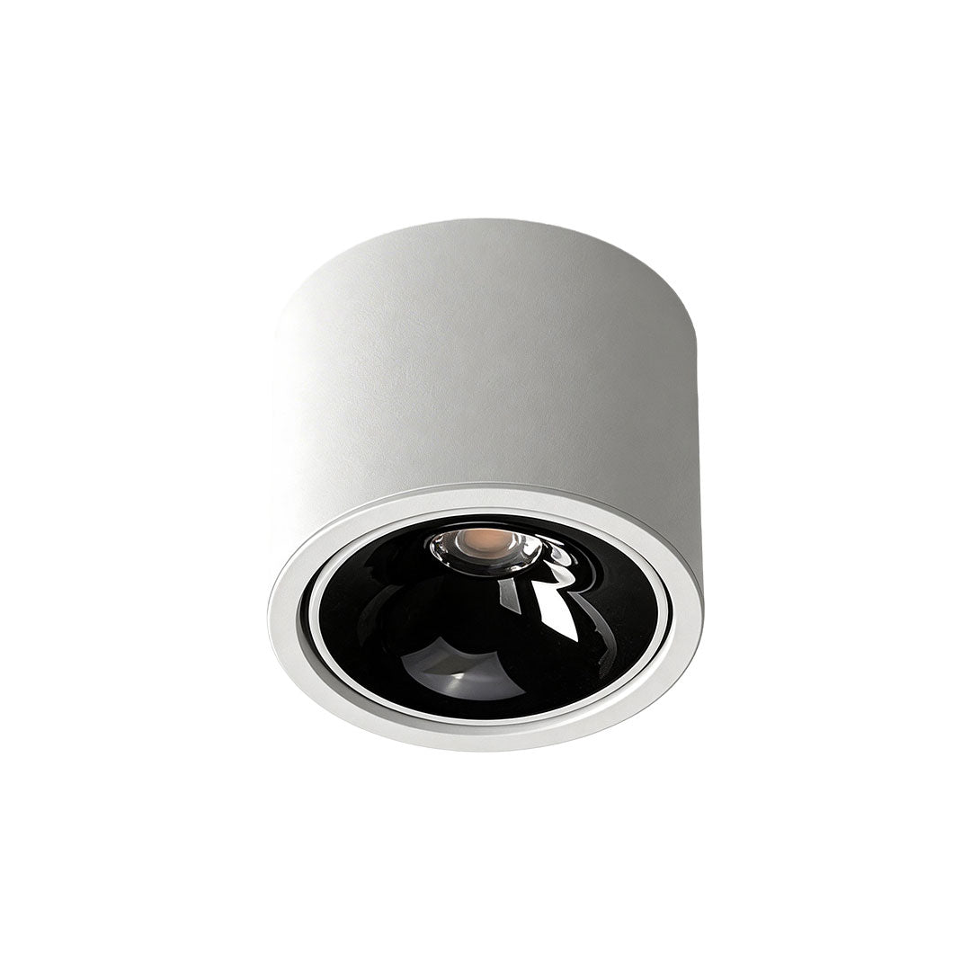 Black ceiling spotlight with a modern and minimalistic design for directed lighting.