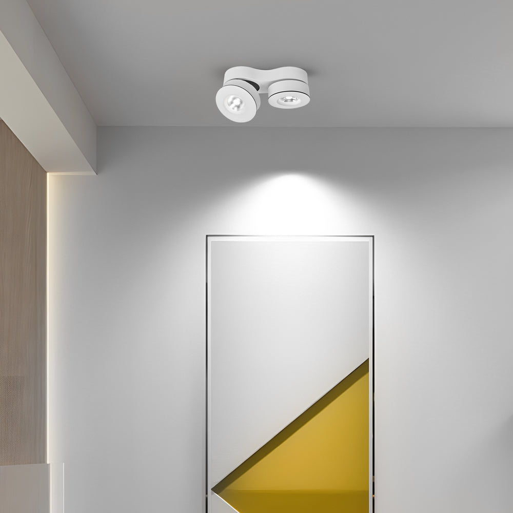 Surface mount LED downlight with dual heads in black finish, offering precise lighting control for different areas.