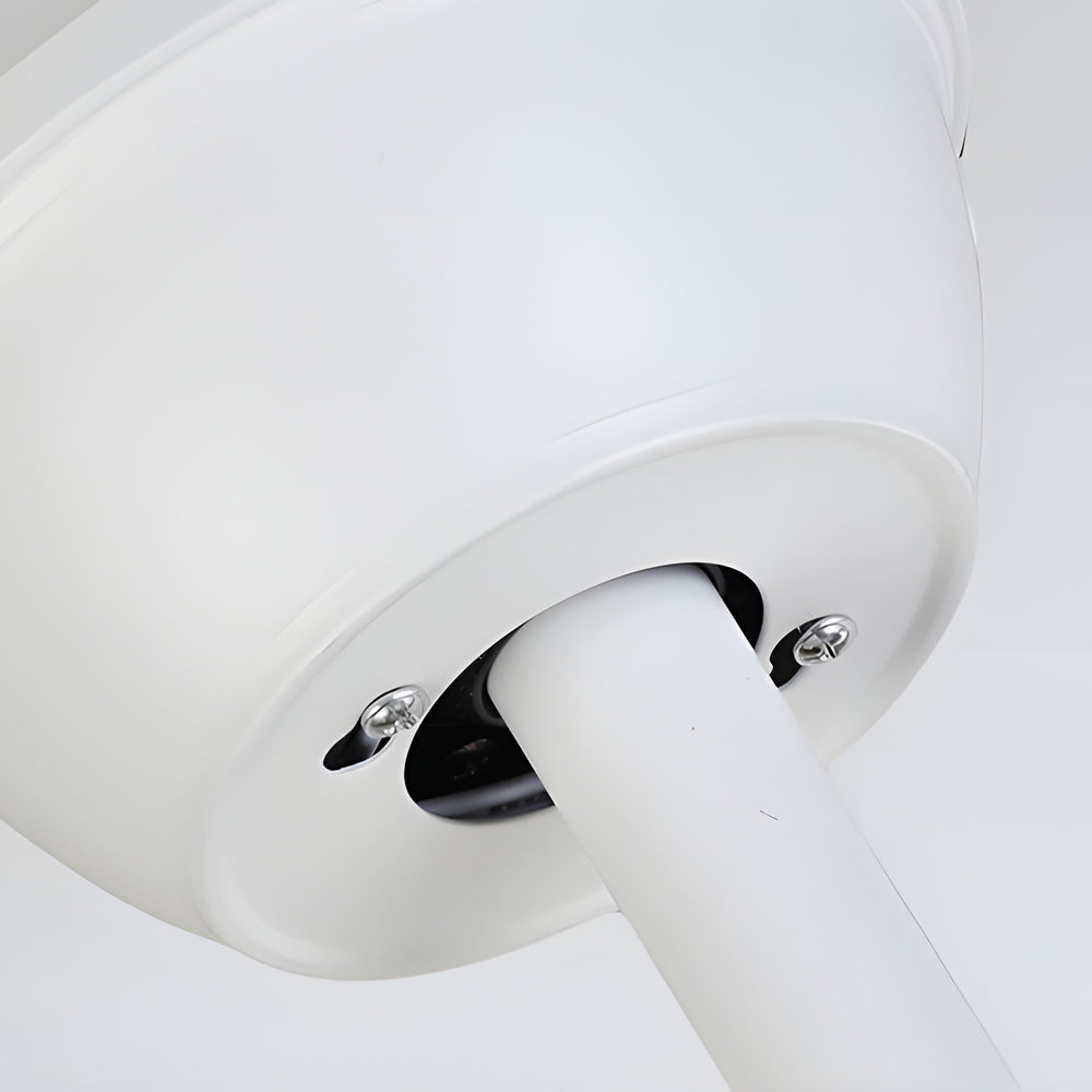 Black fan with light with a sleek black finish, enhancing a contemporary interior.