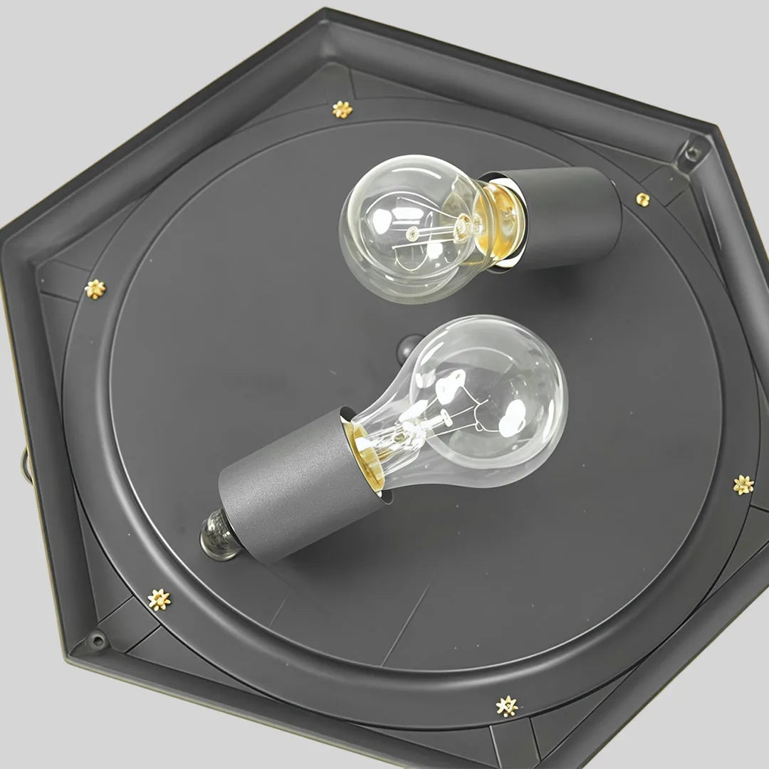 Interior view of a black flush mount light fixture showing a two-bulb socket configuration.