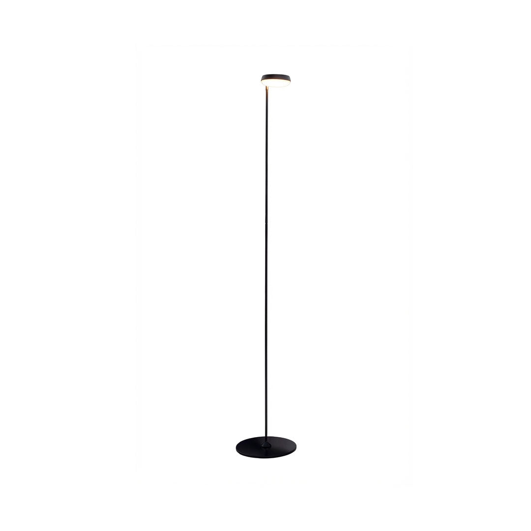 Black lamp floor with a minimalist design, providing ambient lighting.