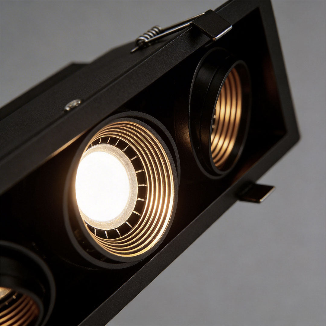 Close up detail of black led spotlight indoor housing showing dual adjustable light modules.