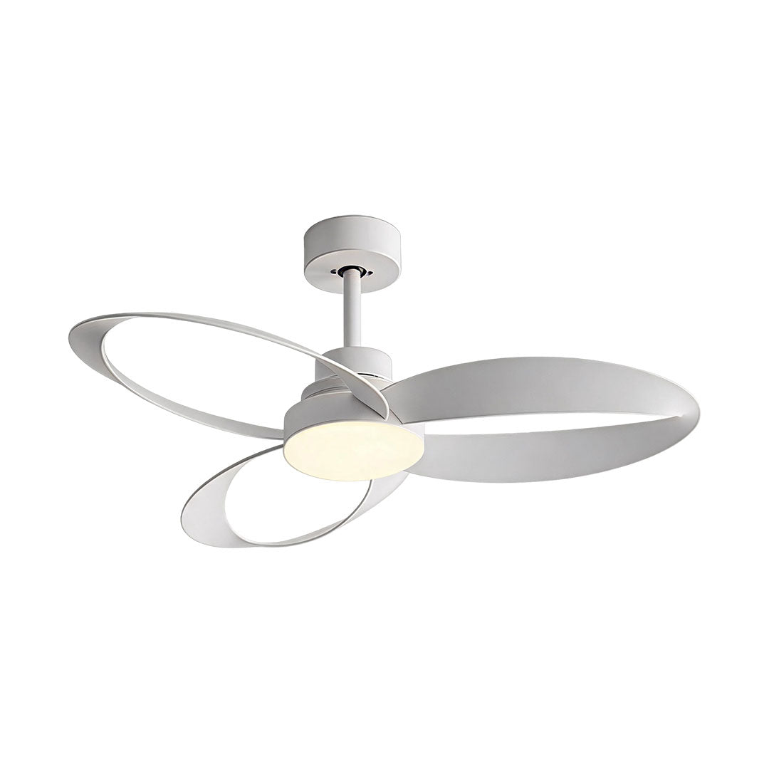 Modern ceiling fans with light featuring black hardware and dark brown sculptural loop blades.