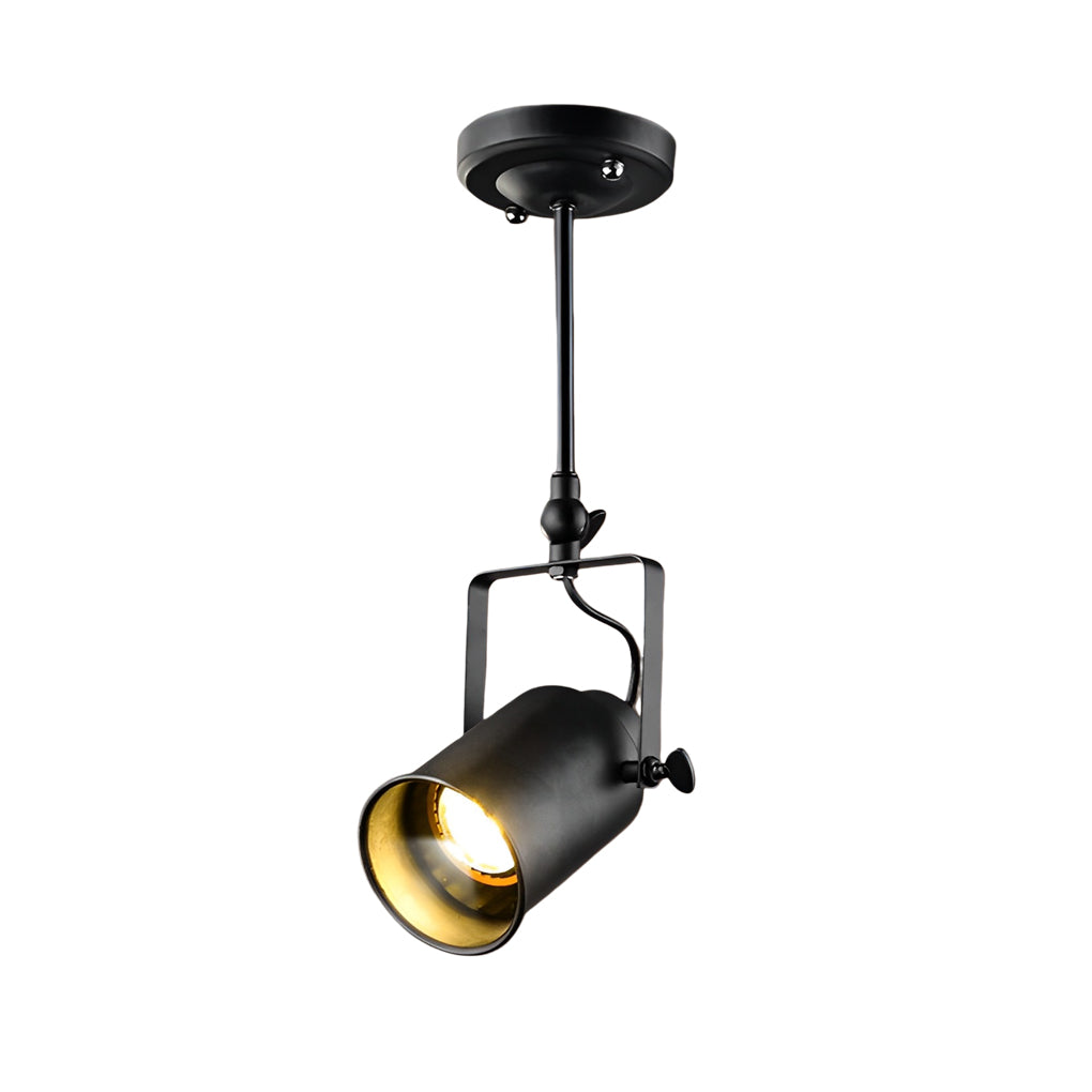 Black track light spotlight, focusing on the adjustable arm and light direction.