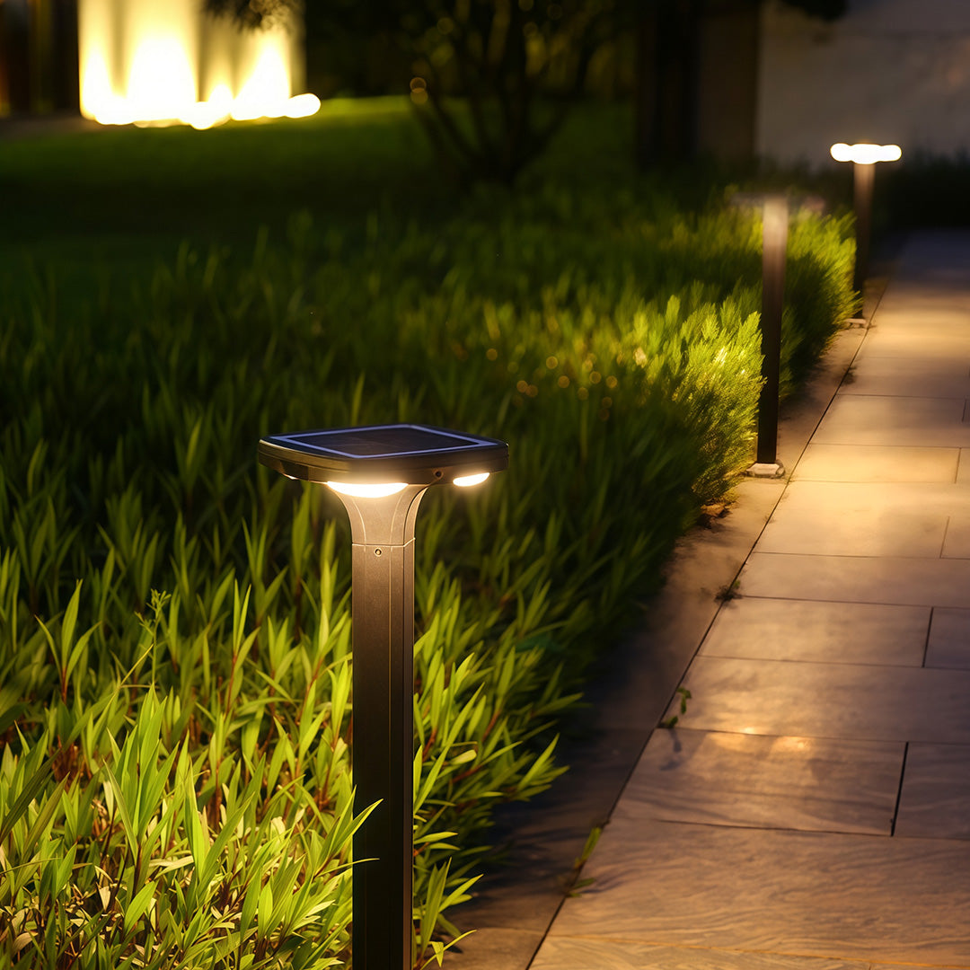 Black outdoor wall sconce with a bright white LED light, illuminating the garden landscape.