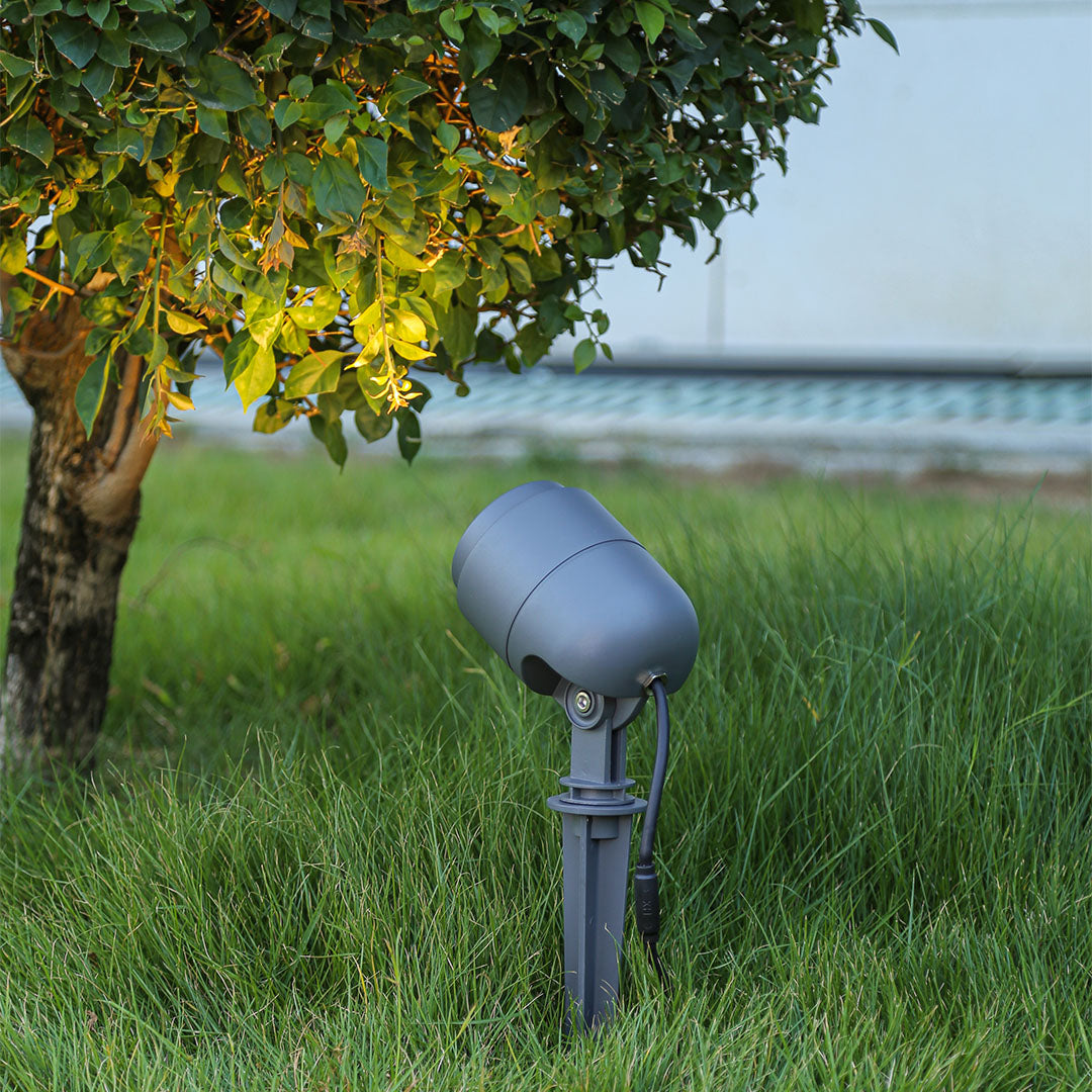 Blue LED spotlight positioned in green lawn area providing targeted landscape illumination