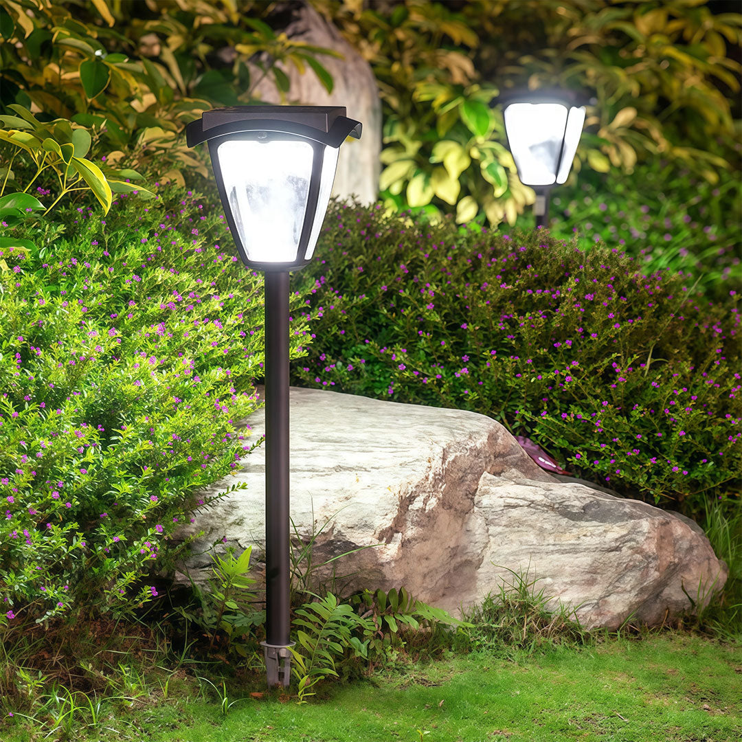 Bright solar powered path lighting fixtures in a cool white tone, placed in a garden bed next to a large rock.