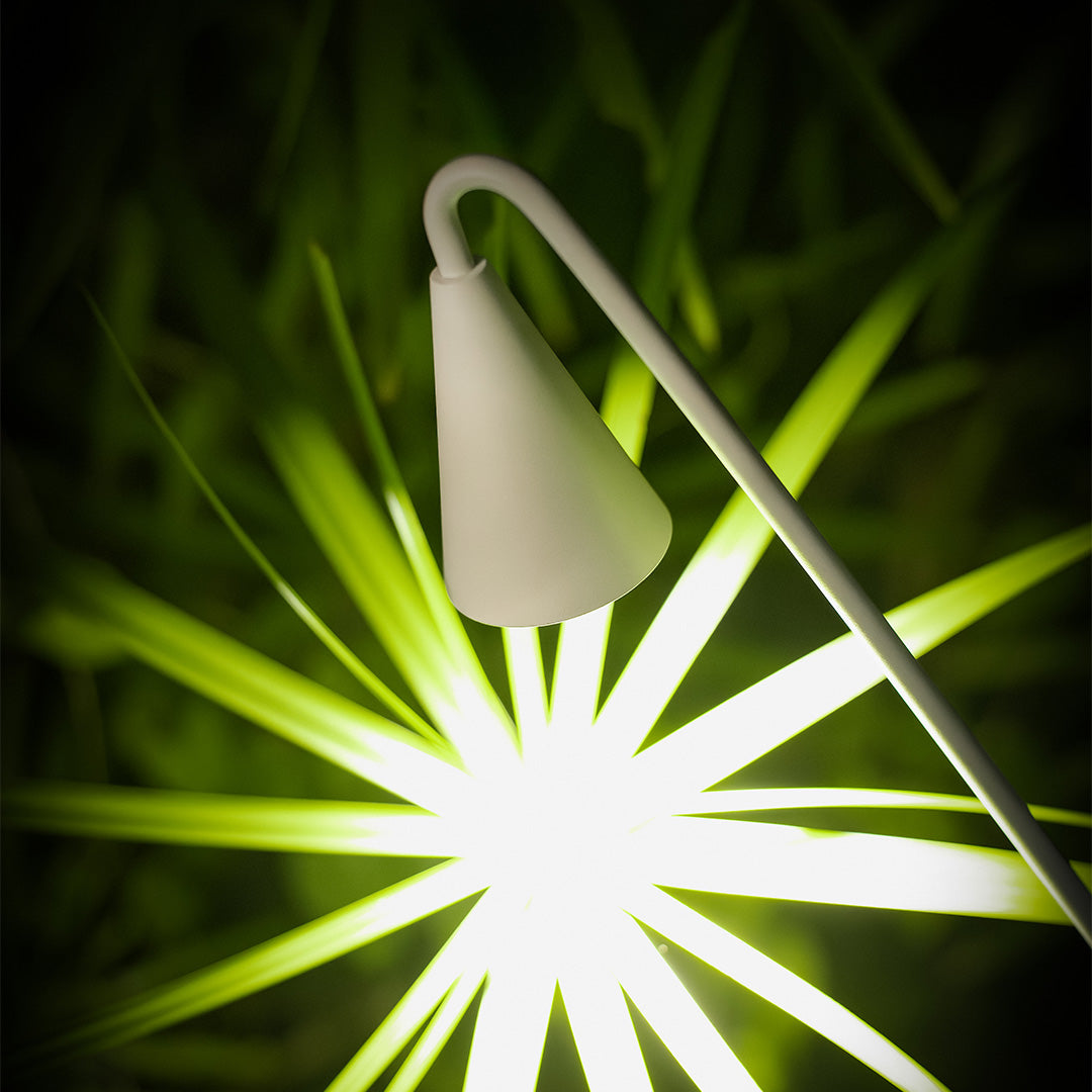 Brilliant illuminated metal landscape light creating dramatic starburst effect with intense white LED illumination