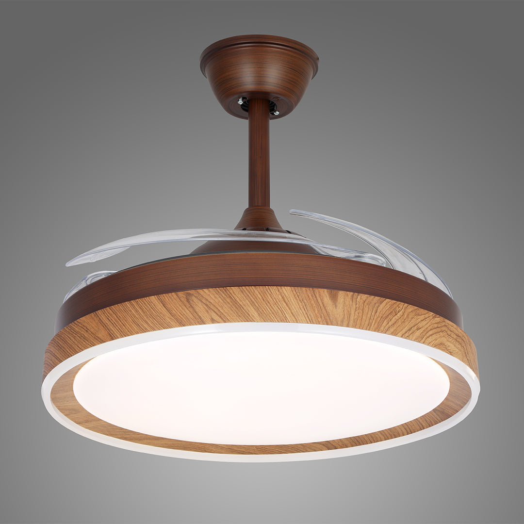 Bronze ceiling fan with 4 lights and wood accent ring on an isolated background 