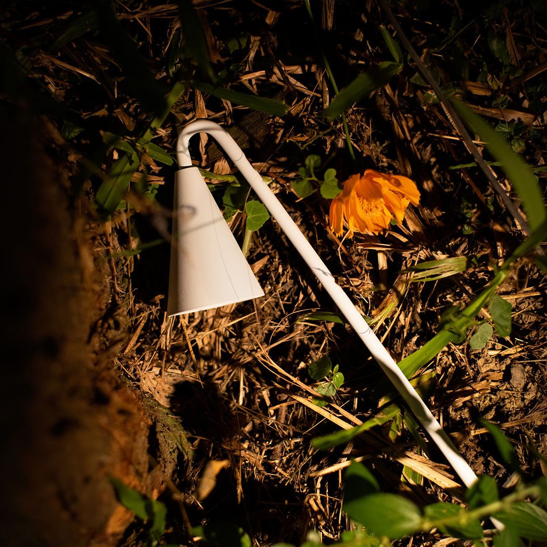 Natural garden installation of bronze metal landscape lights highlighting autumn foliage with warm directional lighting