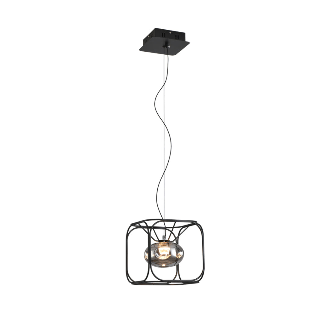 Single caged pendant light product image on white background, showcasing clean metal frame and compact hanging design.