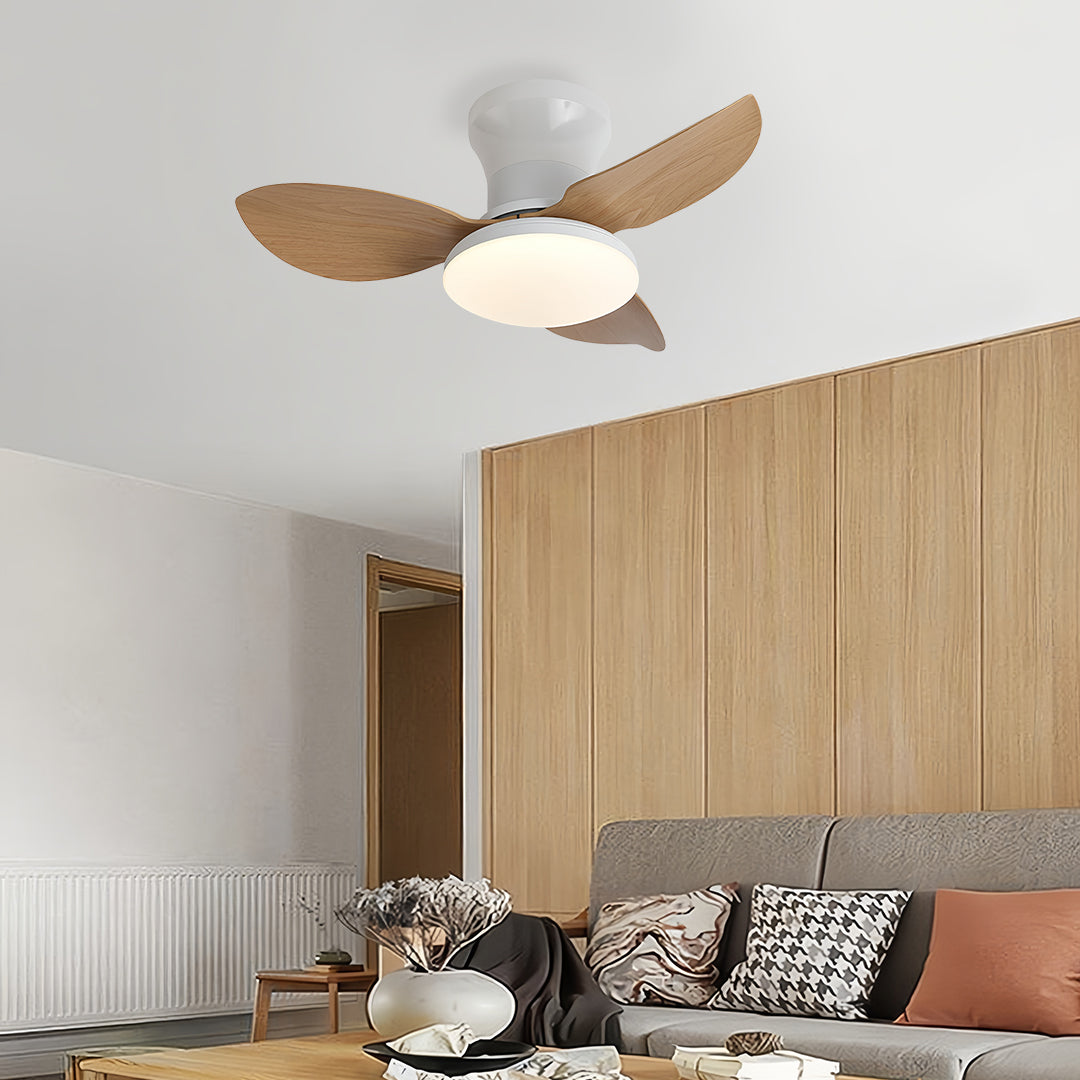 Ceiling fan with dimmer light in contemporary space with wood blades creating perfect balance of function and style