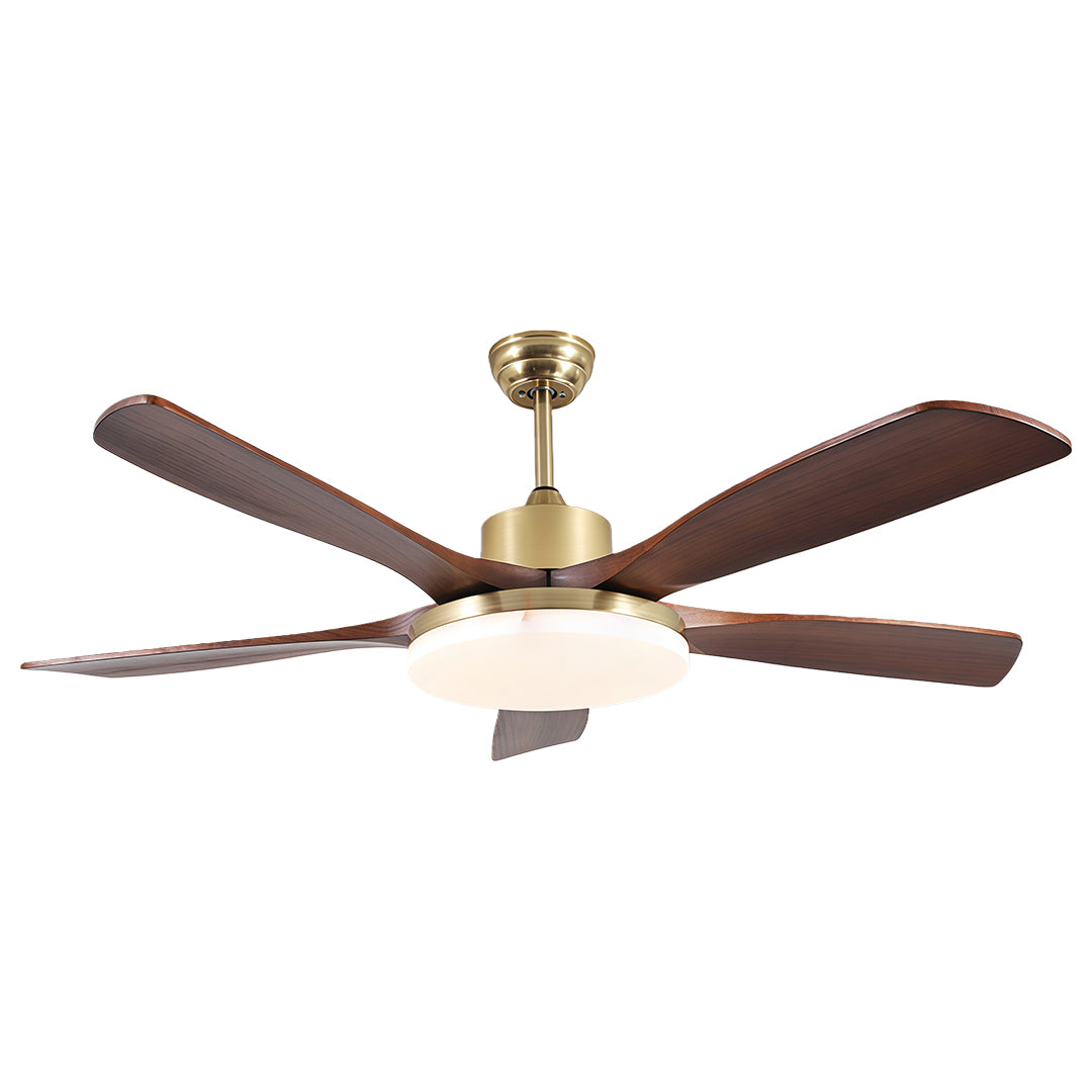 Ceiling fan with light and remote control, providing both illumination and air circulation in a modern dining area.