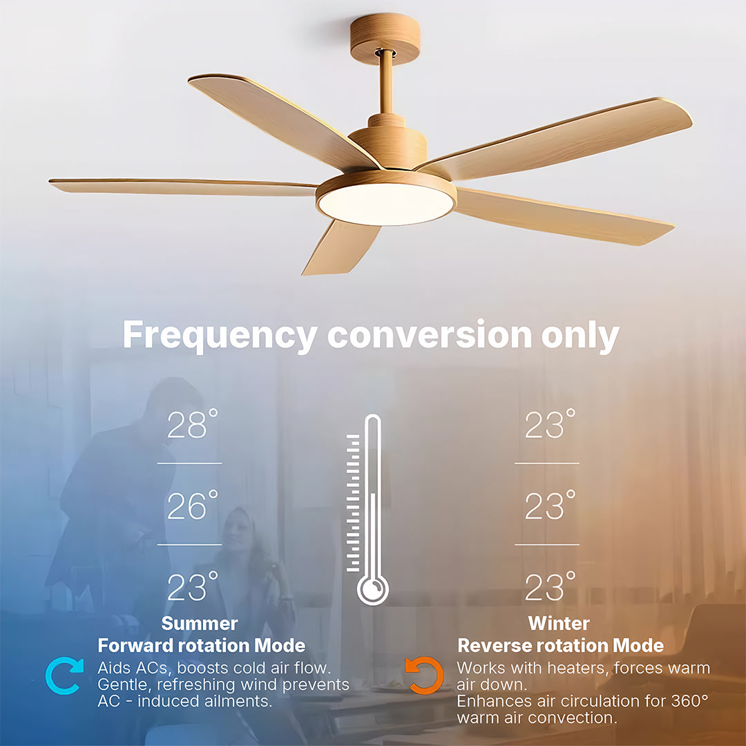 Frequency conversion diagram for ceiling fans with 5 lights showing speed control options