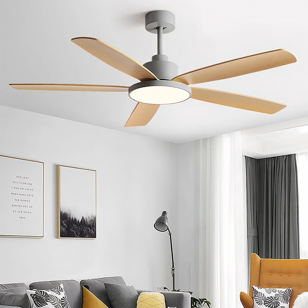 Ceiling fans with 5 lights mounted in minimalist living room with gray sofa and contemporary decor
