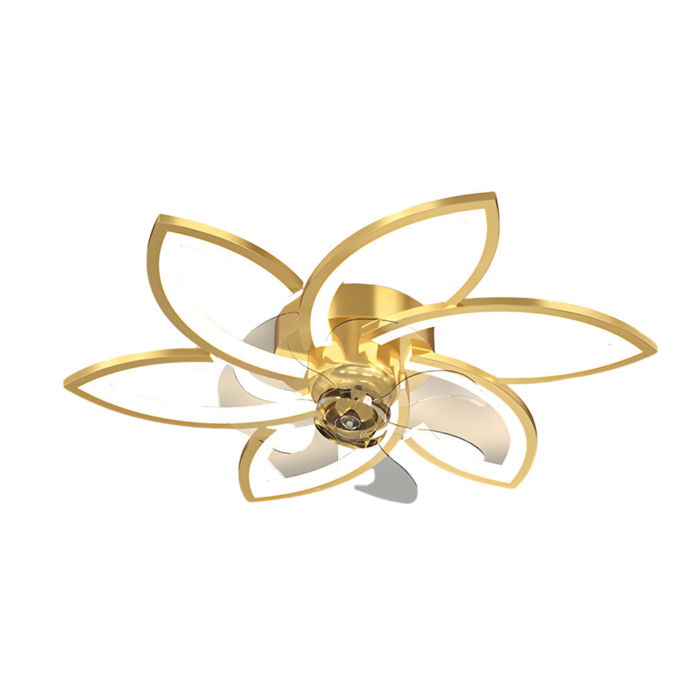 Ceiling fans with fancy lights in a black finish, highlighting its modern aesthetic.