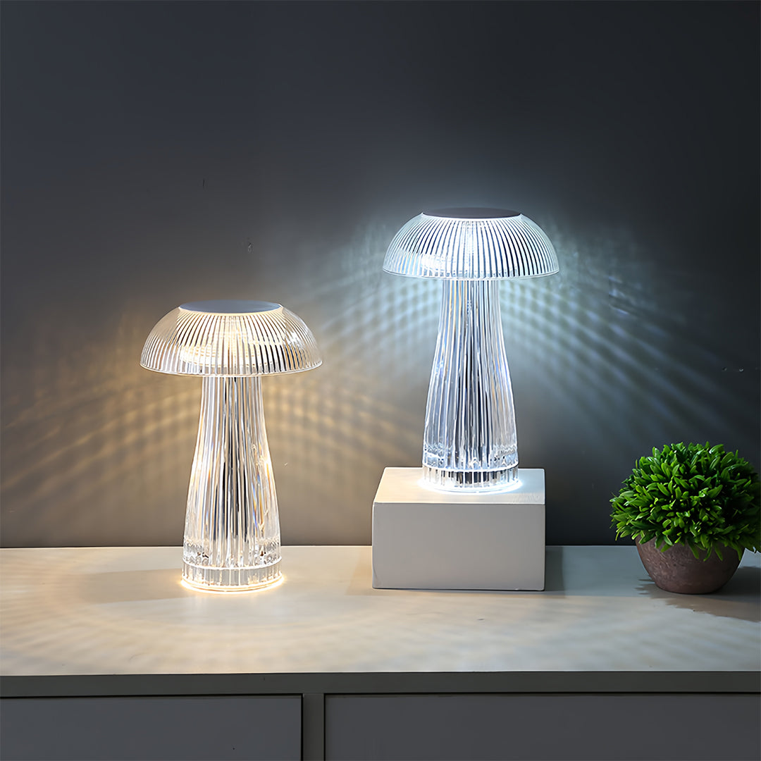 Pair of clear table lamps arranged on dark surface with decorative plant accent