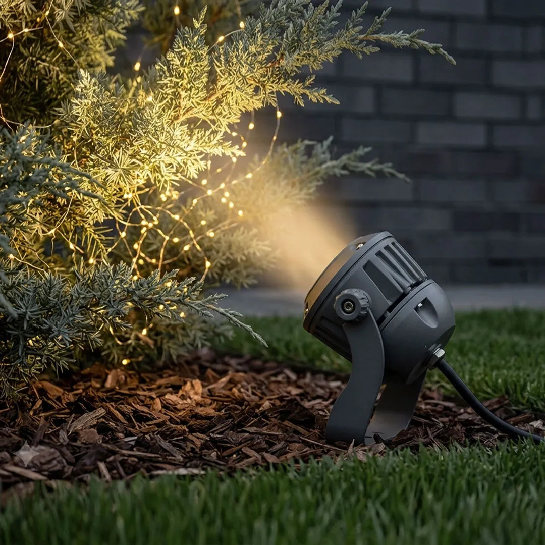 Close-up of a tree spotlight highlighting a shrub with warm landscape lighting at dusk.
