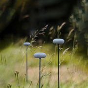 Cluster of dark grey mushroom pathway lights illuminating a grassy outdoor lawn.