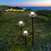 Coastal outdoor landscape lights LED installation creating beautiful ambiance along scenic hillside with ocean views