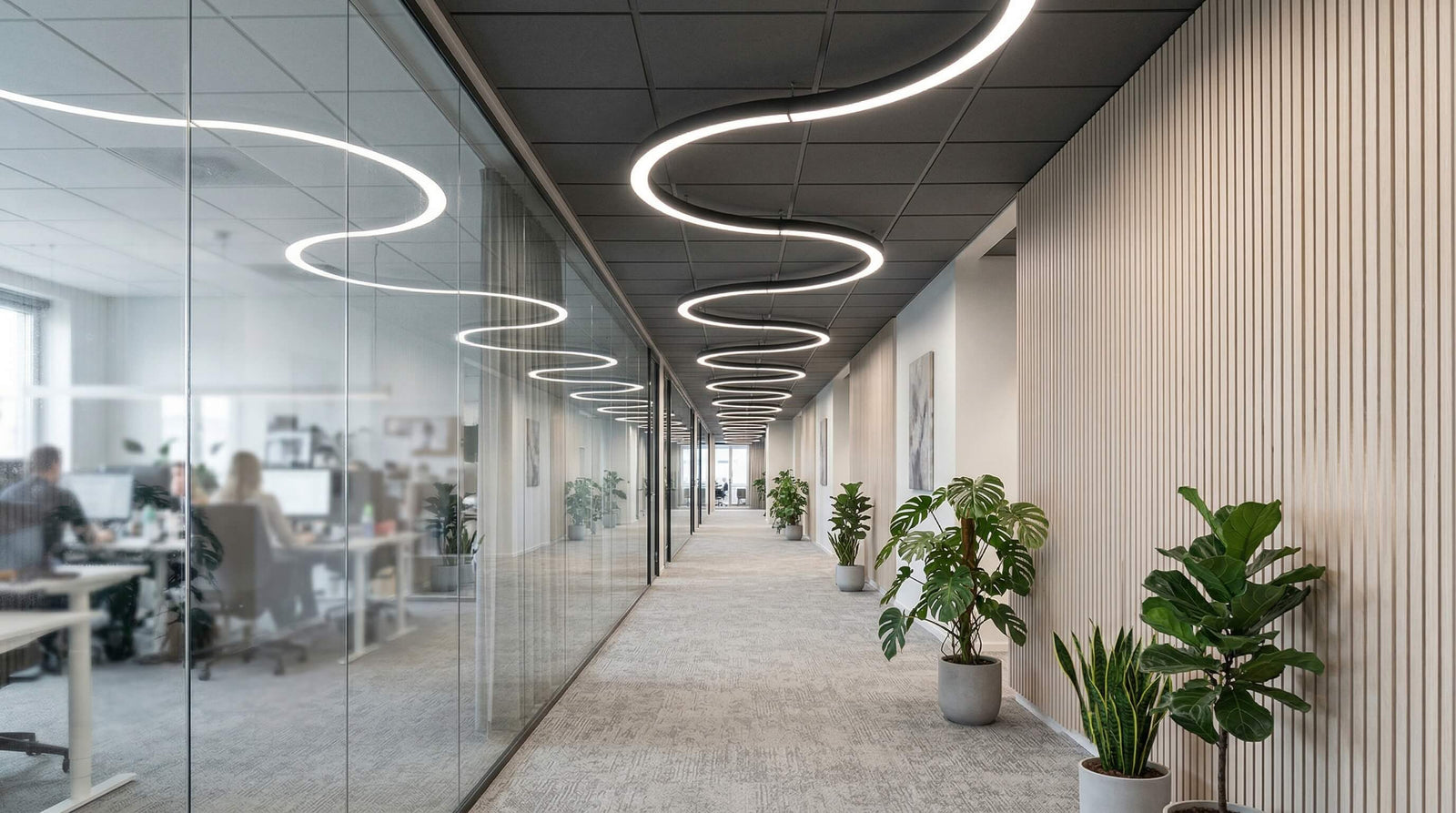 Corridor & Glass Frontage