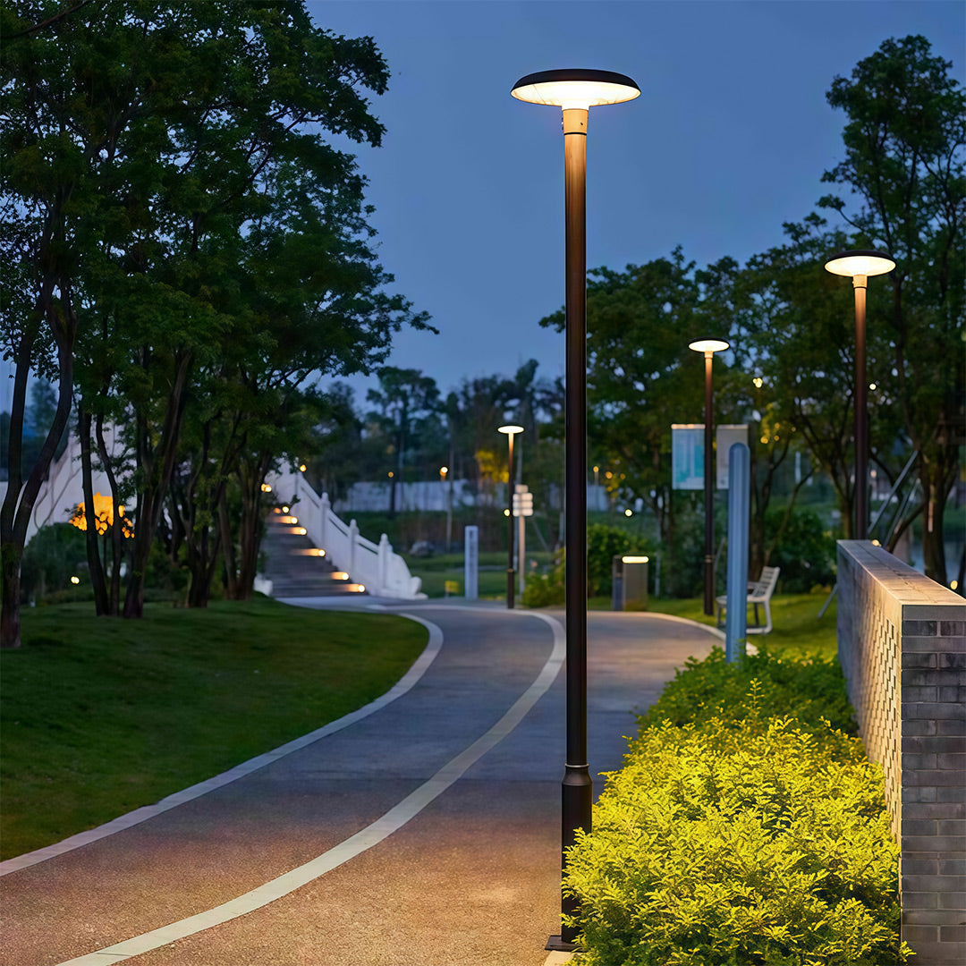 Sleek streetlight offering ambient lighting along a community walking trail.