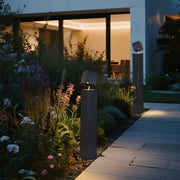 Pathway outdoor lights creating dramatic evening lighting along modern concrete walkway with architectural plants