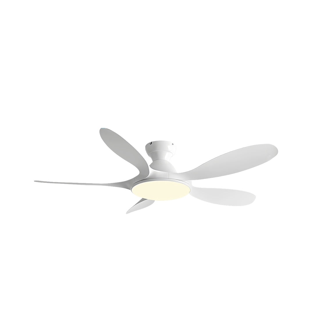 Contemporary 5 blade ceiling fan with light installed in bright modern living room with gray sofa