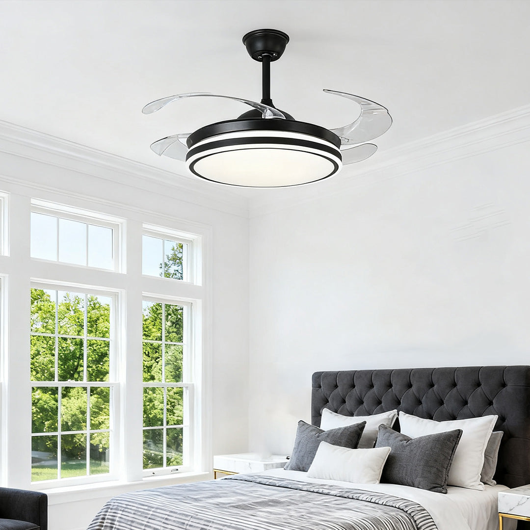 Contemporary bedroom featuring a black ceiling fan with lights above the bed 