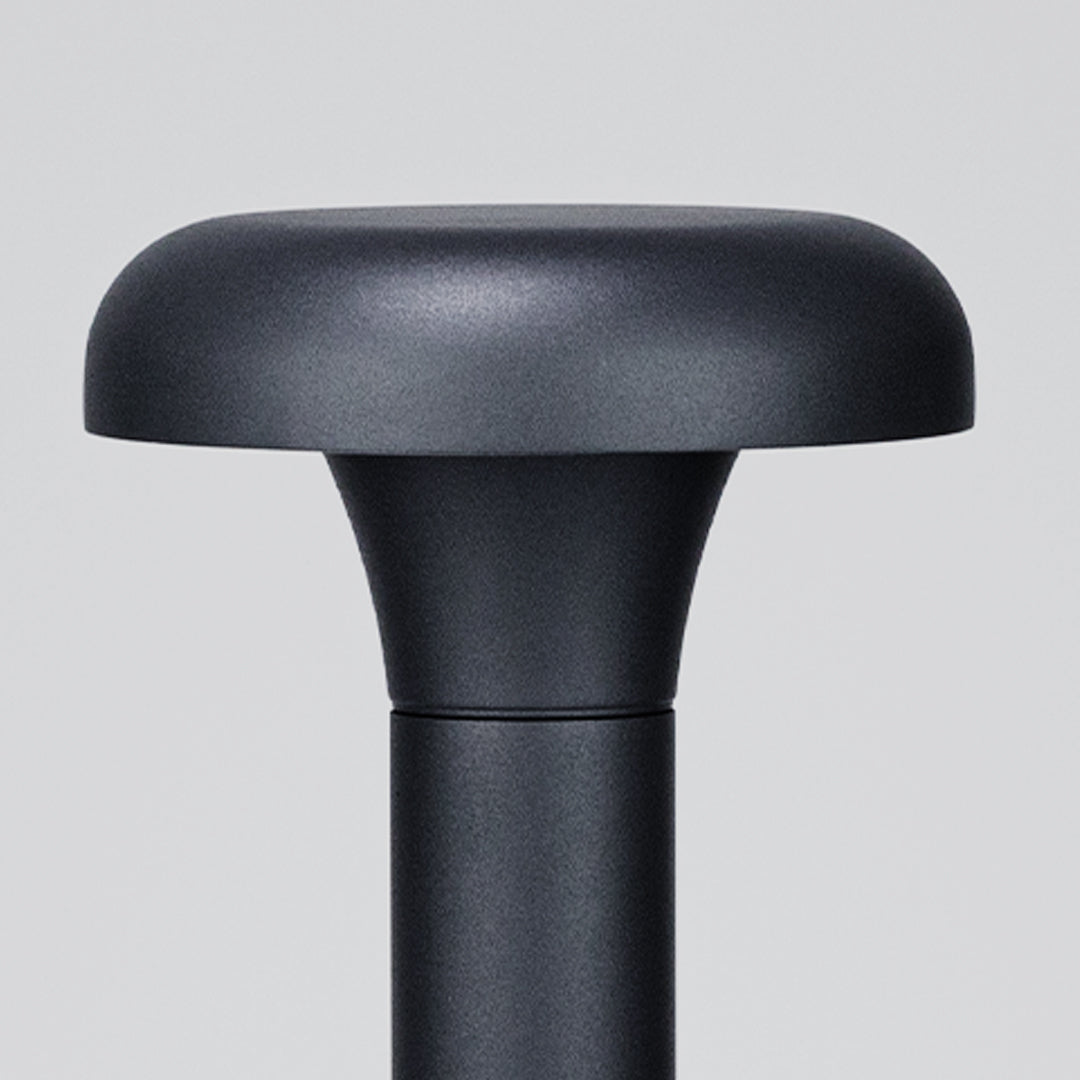 Modern outdoor lighting installation along contemporary building pathway and lawn