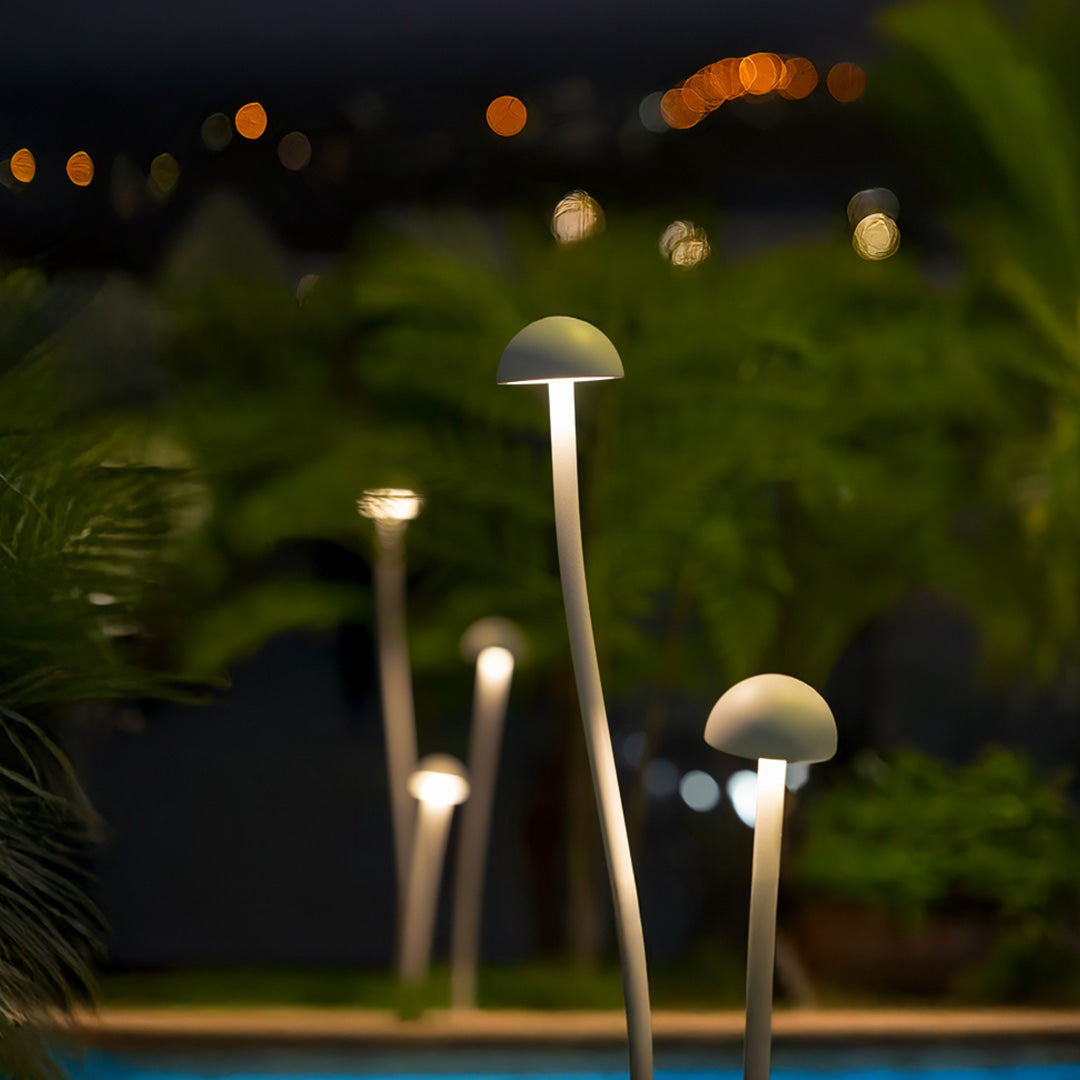 Contemporary outdoor lighting solution with warm illumination perfect for nighttime landscape design