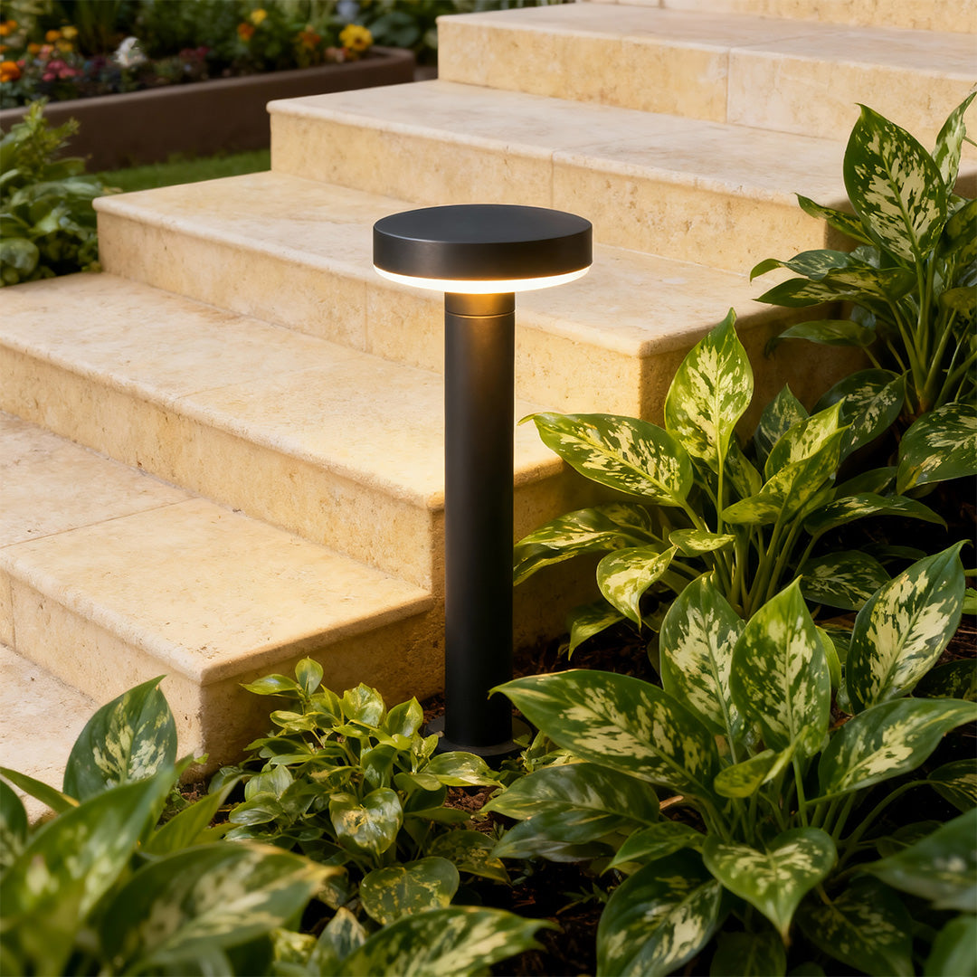 Contemporary solar garden light with a stylish design, softly lighting a pathway at night.