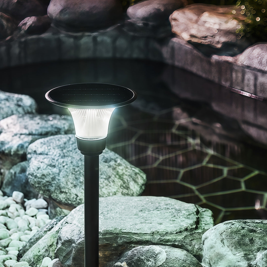 Cool white black solar pathway lights fixture glowing brightly next to a rocky pond in the evening.