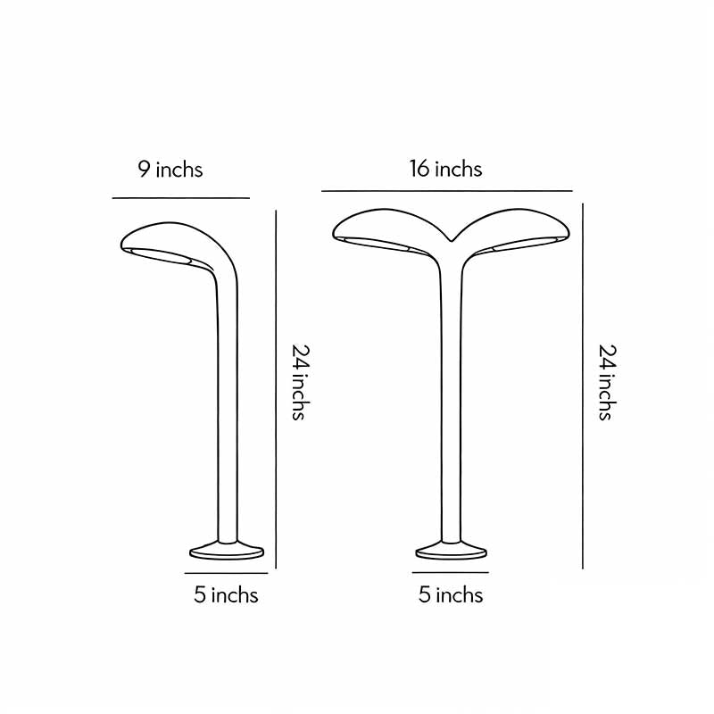 Technical diagram showing dimensions and structure of curved path light models.