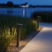 LED path lights illuminating curved walkway through natural landscaping creating serene evening atmosphere