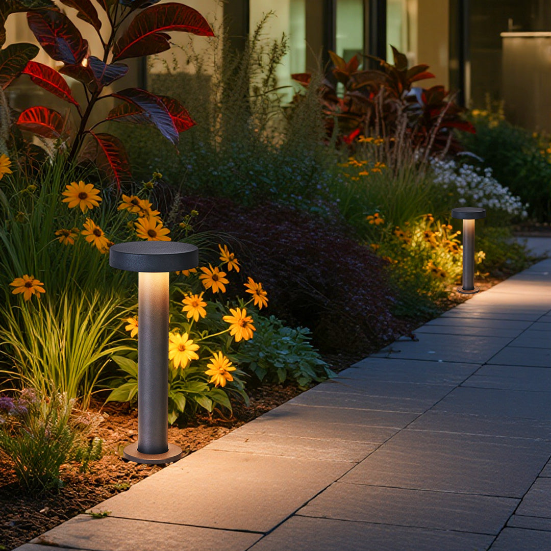 LED path lights illuminating curved garden walkway with vibrant flowering plants and evening atmosphere