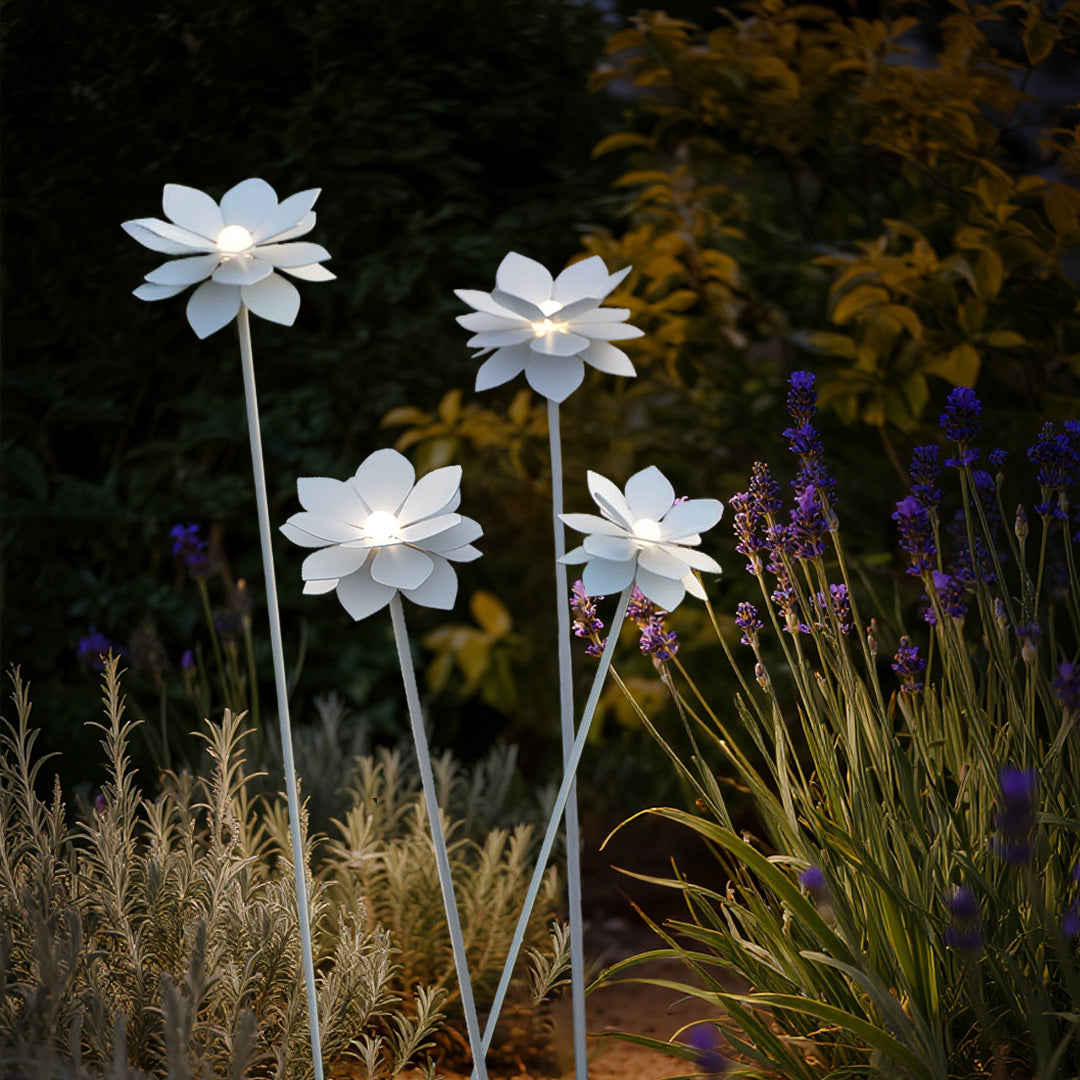 Beautiful cluster of white daisy landscape garden lights creating enchanting outdoor lighting display among native grasses