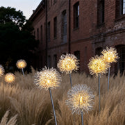 Dandelion landscape lights illuminating a garden pathway with warm yellow LED bulbs and decorative grass.