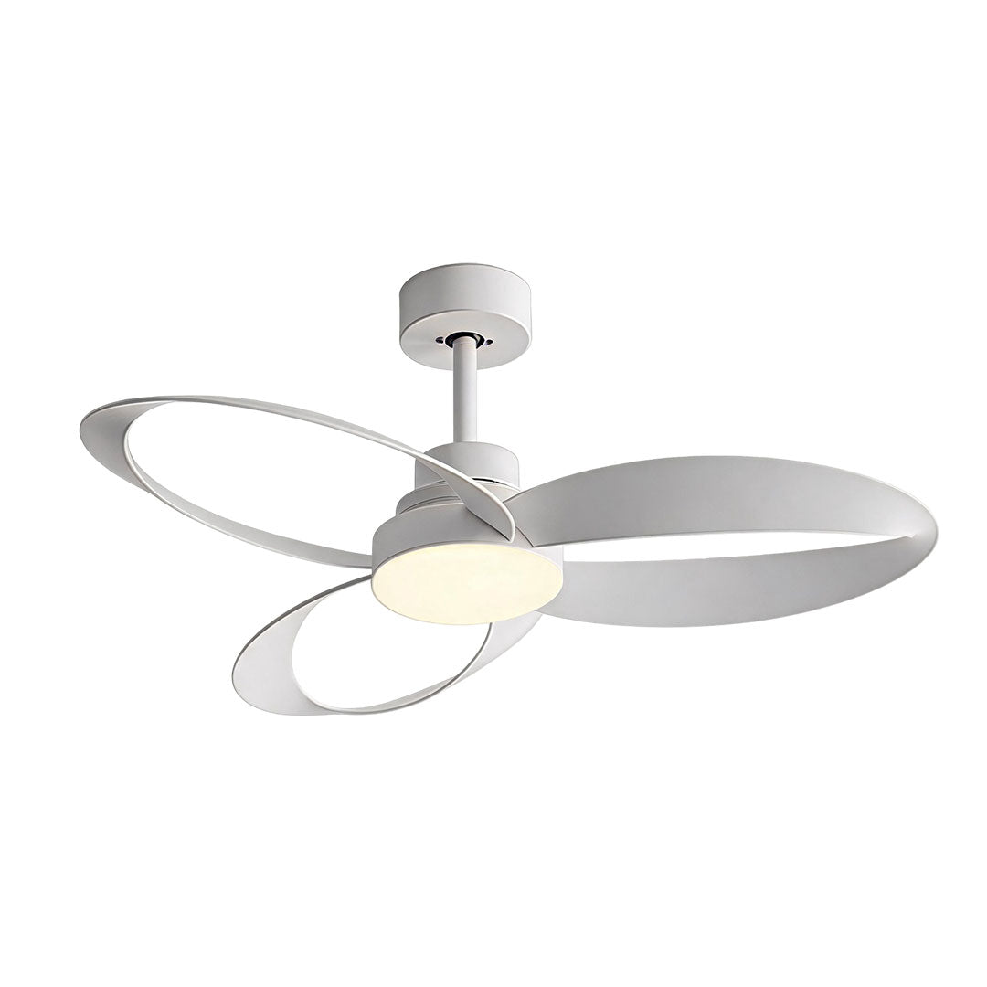 Modern ceiling fans with light featuring a black motor housing and curved dark wood loop blades.