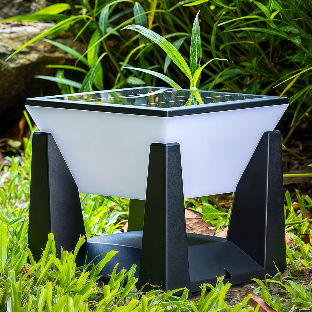 Daytime close-up of a modern solar bollard light showing the top solar panel, placed in a grassy garden.