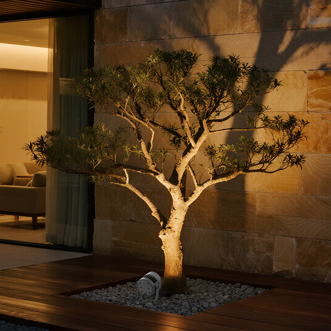 Decorative spotlight for landscape providing dramatic illumination for small ornamental tree