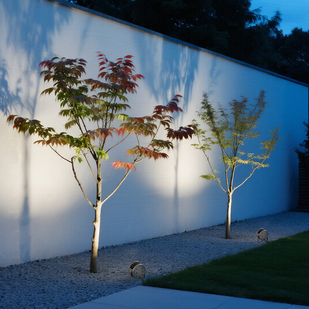 Decorative spotlight for landscape providing dramatic illumination for two ornamental trees